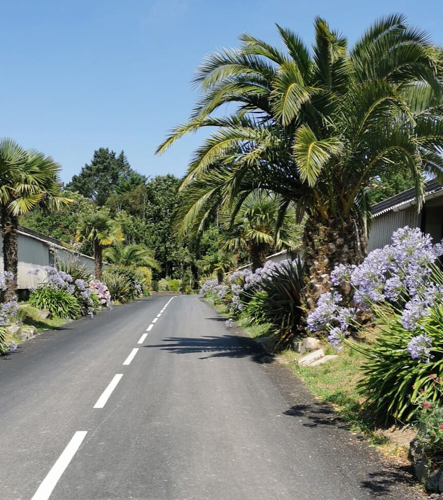 Camping sans pass sanitaire en bretagne